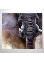 動物王國 大象18 油畫 裝飾...