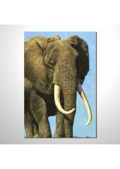 動物王國 大象21 油畫 裝飾...