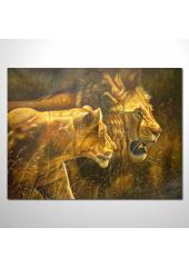 動物王國 獅子05 油畫 裝飾...