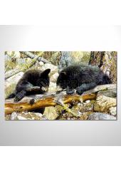 動物王國 黑熊 油畫 裝飾品 ...