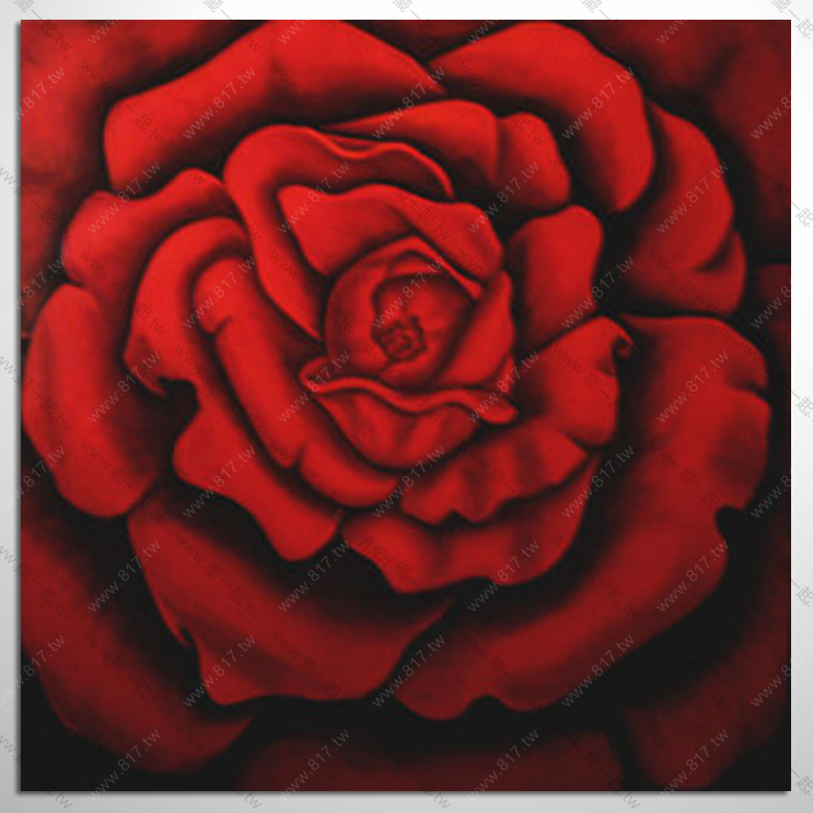 典雅單幅花卉 C242 紅玫瑰...