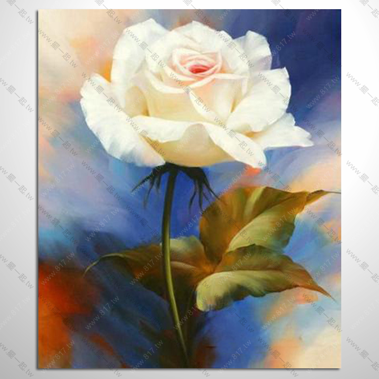 典雅單幅花卉 C219 白玫瑰...